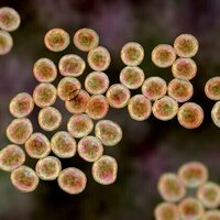 AI has produced 2 new antibiotics to kill 'superbugs'. It's promising - but we shouldn't get too excited yet