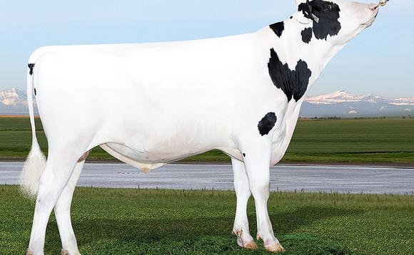 Latest AHDB dairy bull rankings: New sire tops genomic index