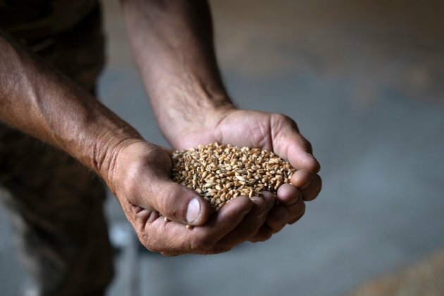 Ukraine Grain Shipment Reaches Turkey