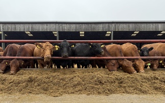 Stabilisers fulfil dual role on North Yorkshire farm