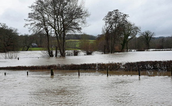 Call to simplify rules on farmer flood maintenance