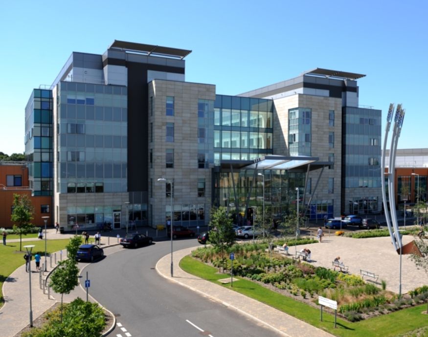 Trust plans job cuts to save £73.5m