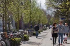 Living Streets reflects on a 'massive year for walking'