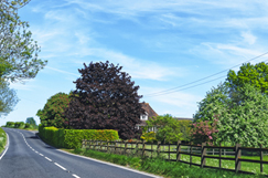 Kent slammed by councillors over 'last-minute' repairs deal