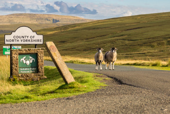 North Yorkshire considers Teckal option in highways revamp