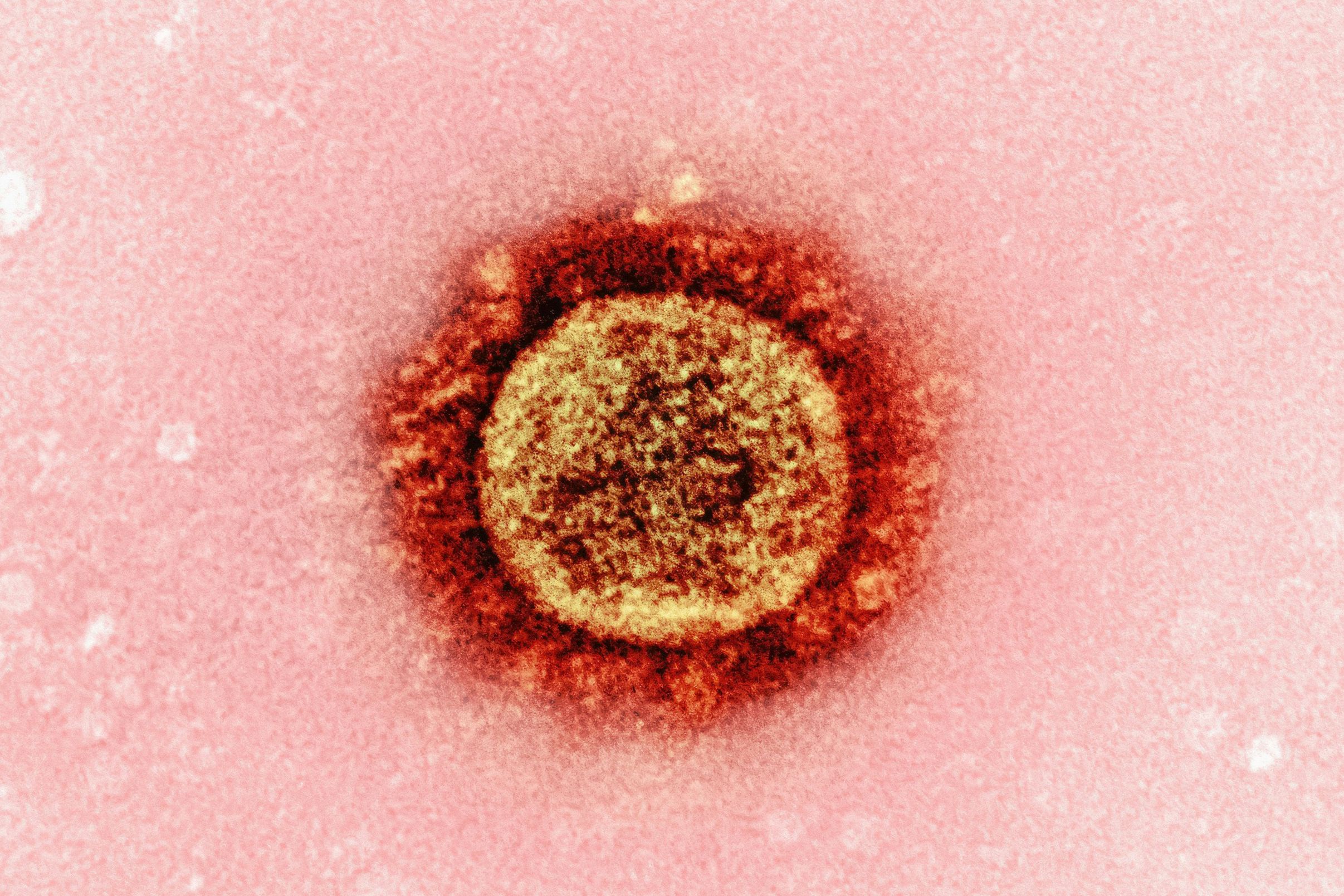 BREAKING NEWS: Meningitis vaccinations expanded to some Year 11 pupils