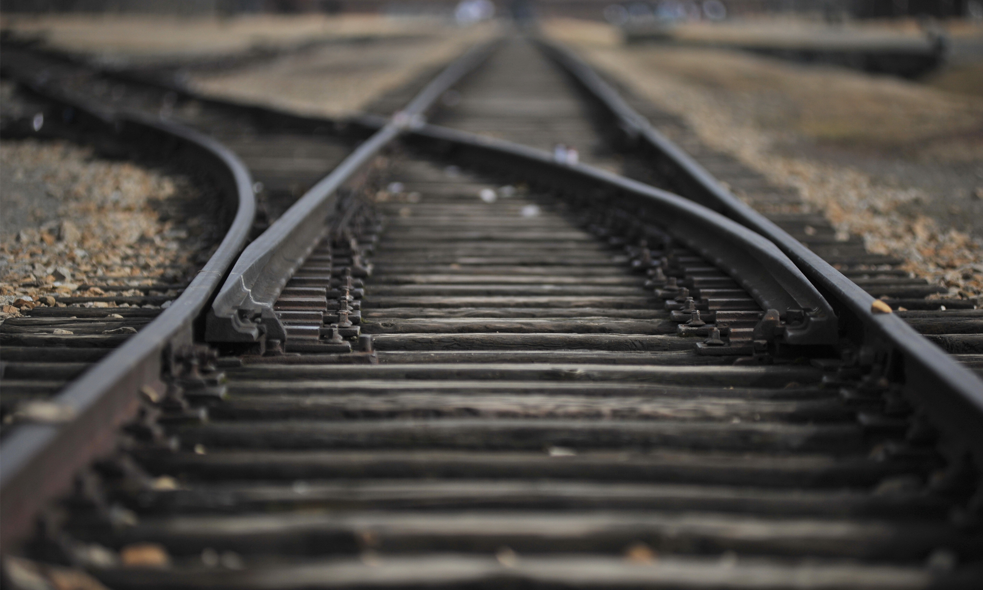 On the right track