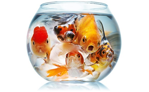 UK mid-market funds: Higher tiers risk overload