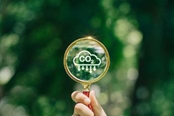 Rethinking carbon offsetting: Why local government needs a radical new model