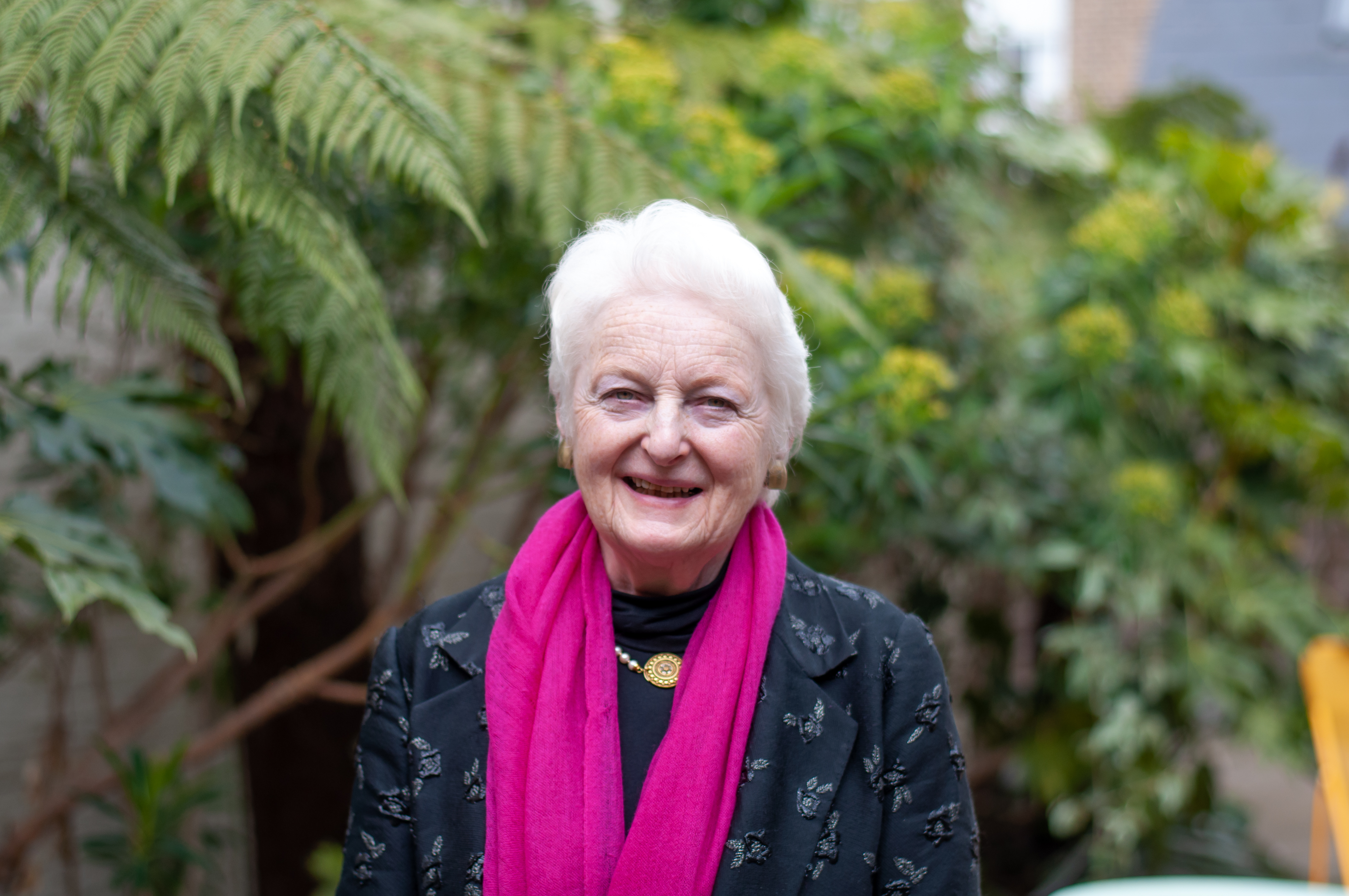 MPs endorse CQC chair appointment