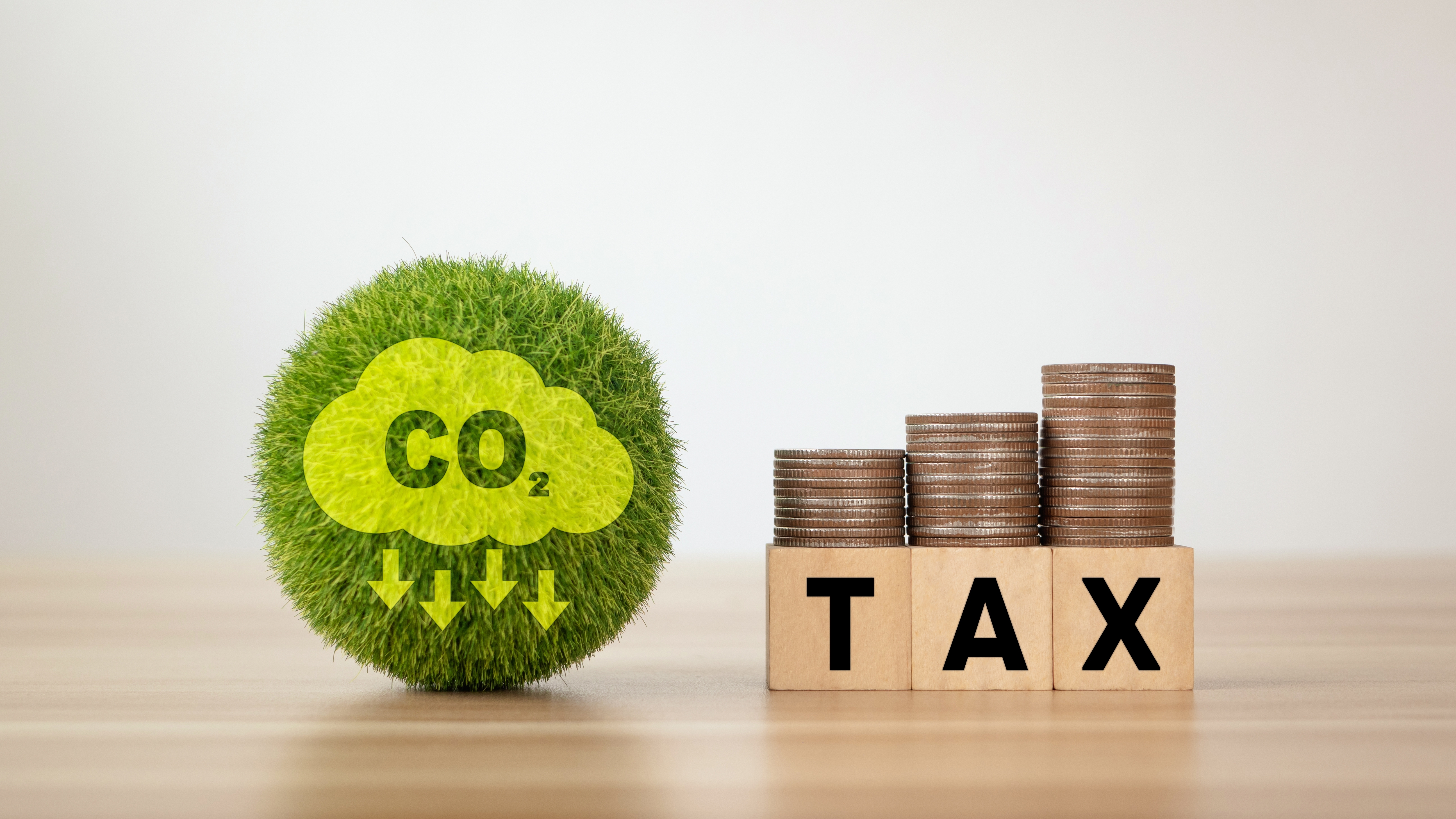 Carbon tax could cost councils billions