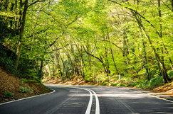 Leafy Surrey seeks bidders for £800m roads deal