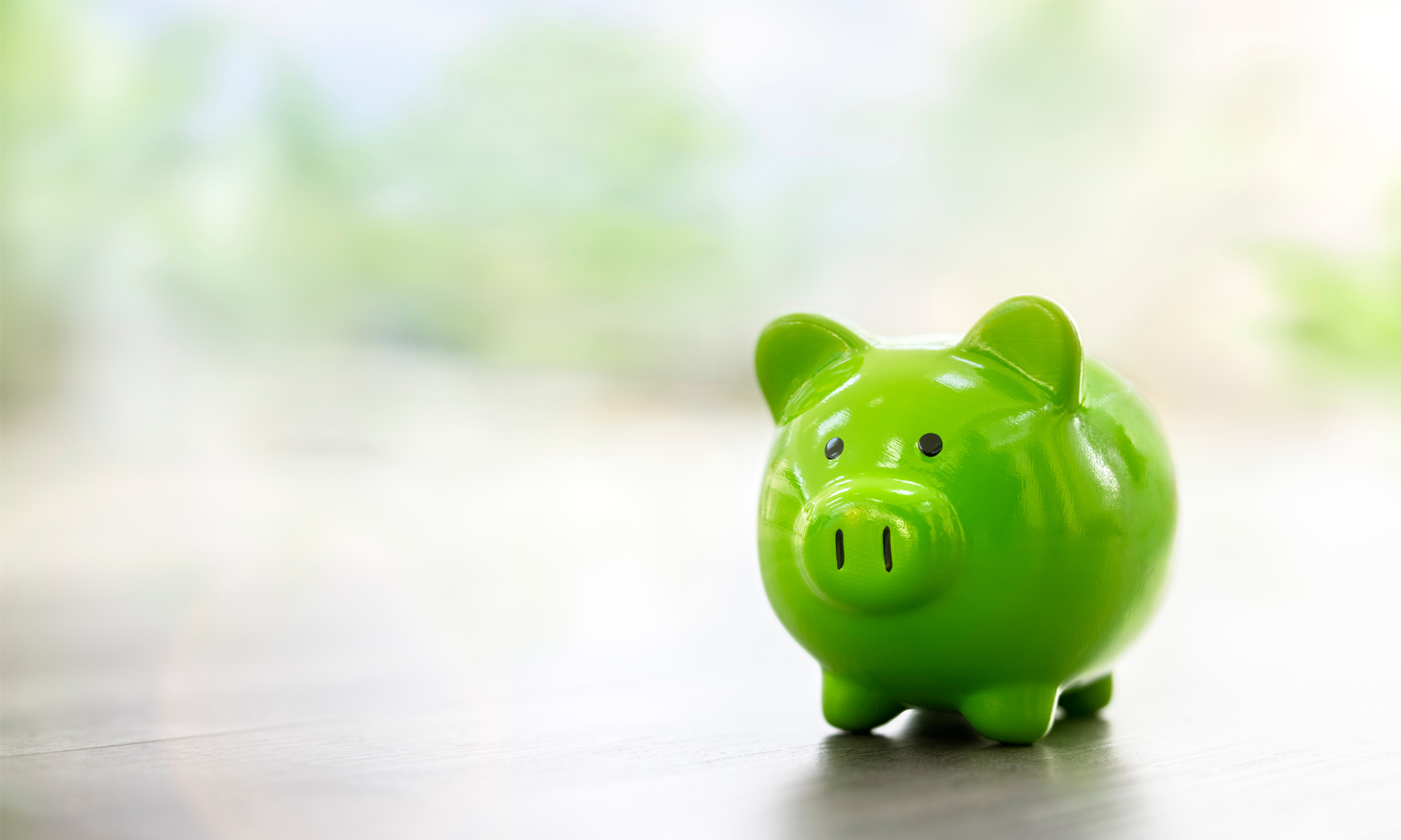 Greens propose council tax replacement