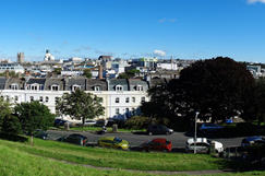 Plymouth council contractors forced to stop tree felling