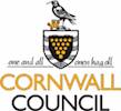 Cornwall finds an extra £2.5m for road repairs