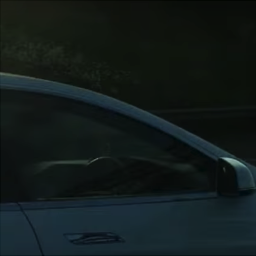 Driver banned for Telsa passenger seat stunt