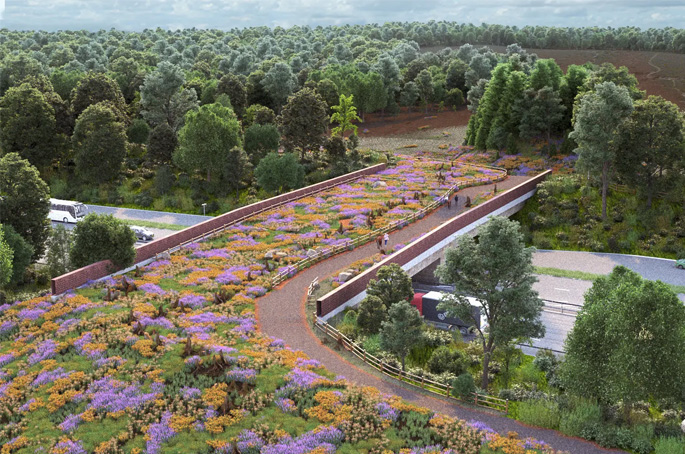 UK first: National Highways opens heathland green bridge