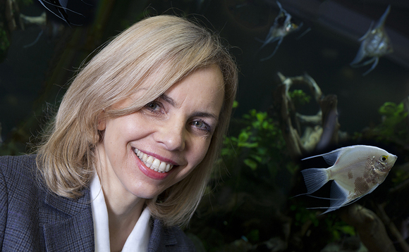 Q&A with Pantheon's Helen Steers