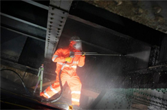 Nine tonnes of guano removed from Tyne Bridge