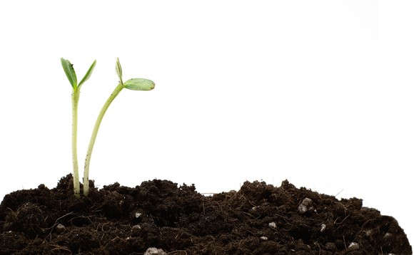 New Danish seed fund attracts DKK 435m in first closing