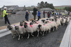 Pooley Bridge steels itself with new bridge