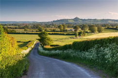 Kier wins £225m Somerset 'refresh' deal