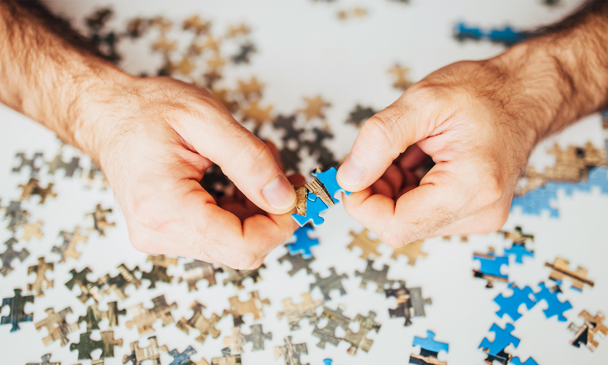 LGR: Could new area committees bring power closer to communities?