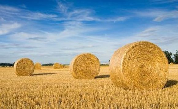 Banks seek to make hay while the sun shines