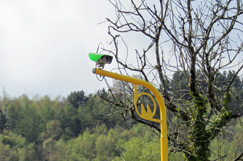 Wales begins 50mph average speed enforcement in pollution hotspots