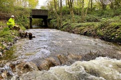 ORR to increase focus on environmental monitoring 