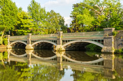 Ringway wins deal worth up to £2.5bn with Surrey