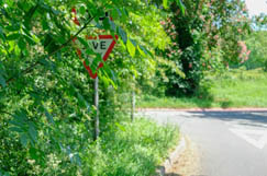RAC issues safety warning over obscured signs