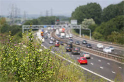 Highways Engand to set new baselines for its environment targets