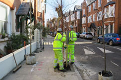 Marlborough plants the town green
