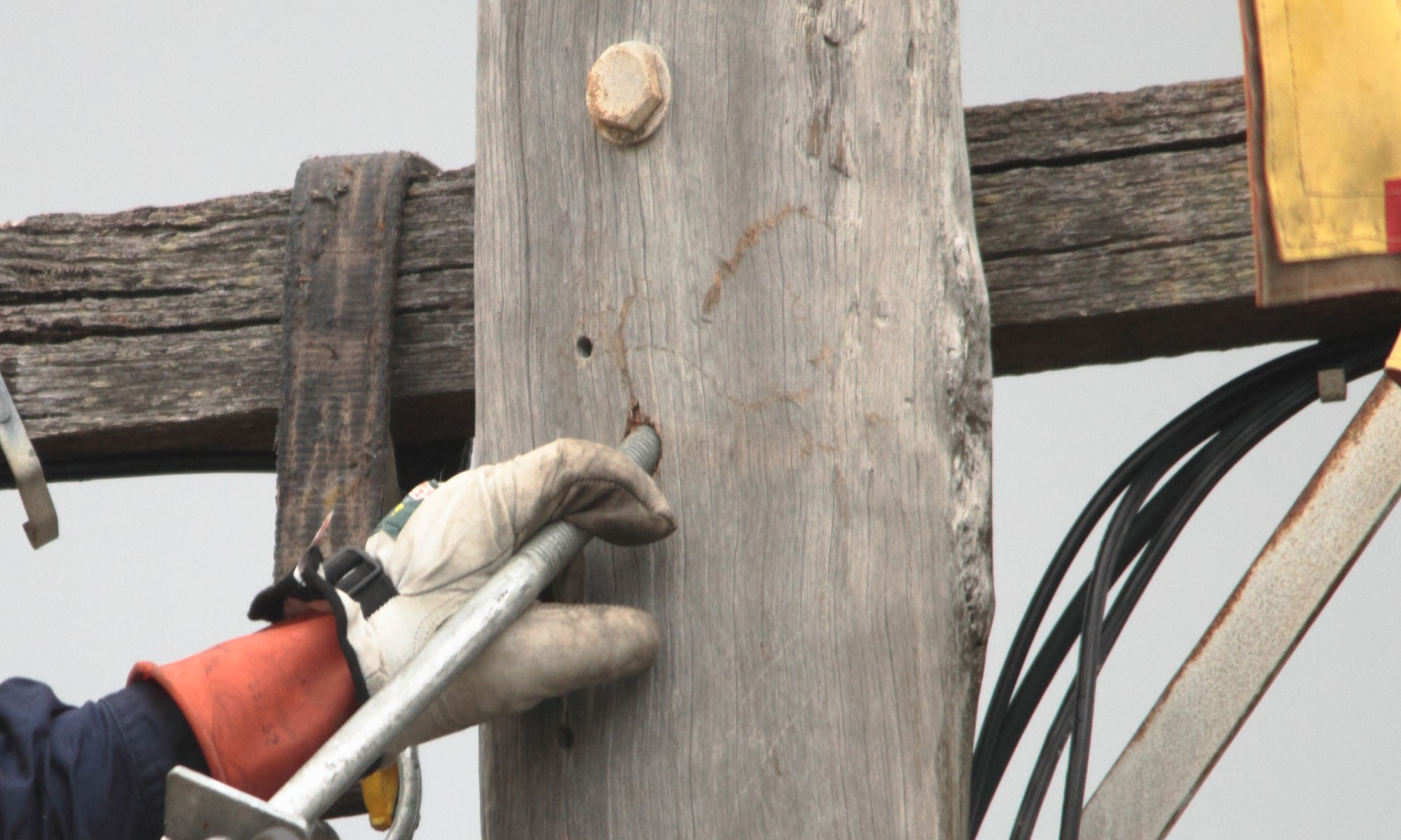 Rewiring for resilience