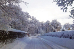 Cold Comfort Scotland: Book now for the hottest ticket