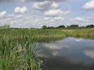 Wildlife habitat improved as part of road scheme