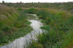 The A14 story part 2: Economy plus ecology