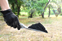 Kier and TerrAffix eye carbon cutting vegetation plan