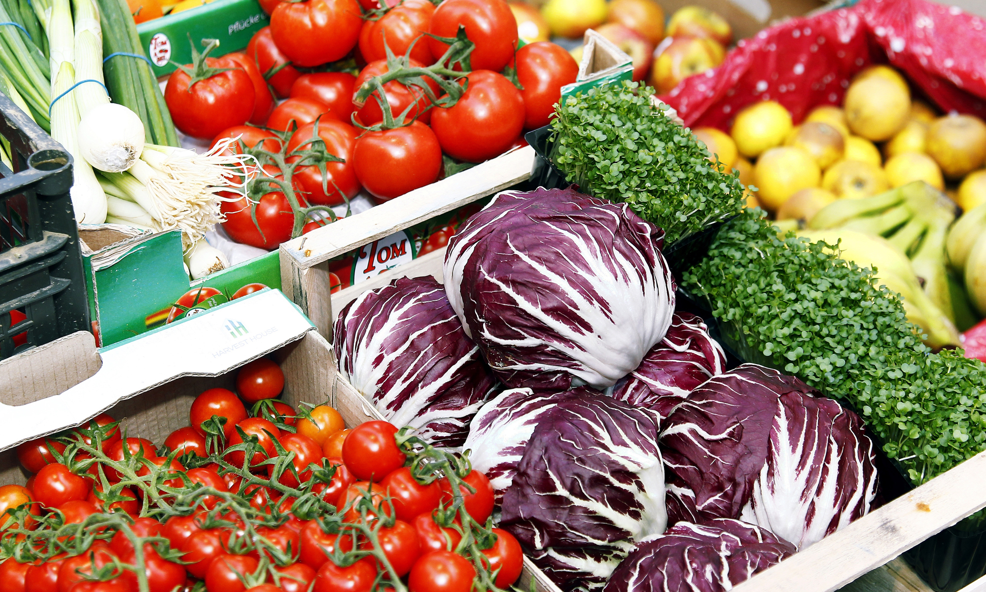 Food security: National challenge, local solution