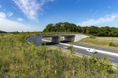 National design panel calls for improvements on strategic network