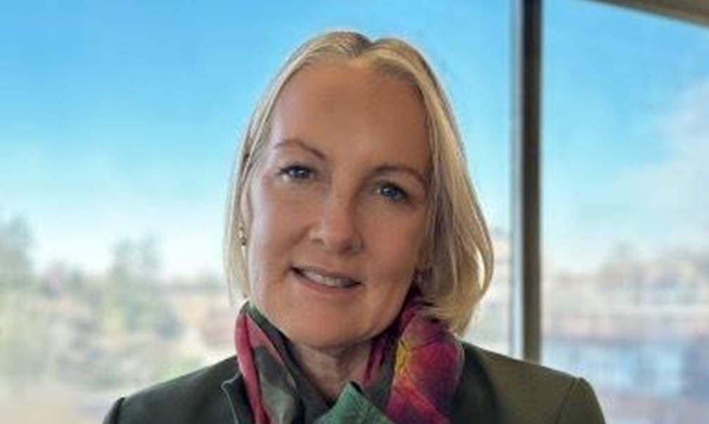 Hampshire and Solent Combined Authority names interim chief