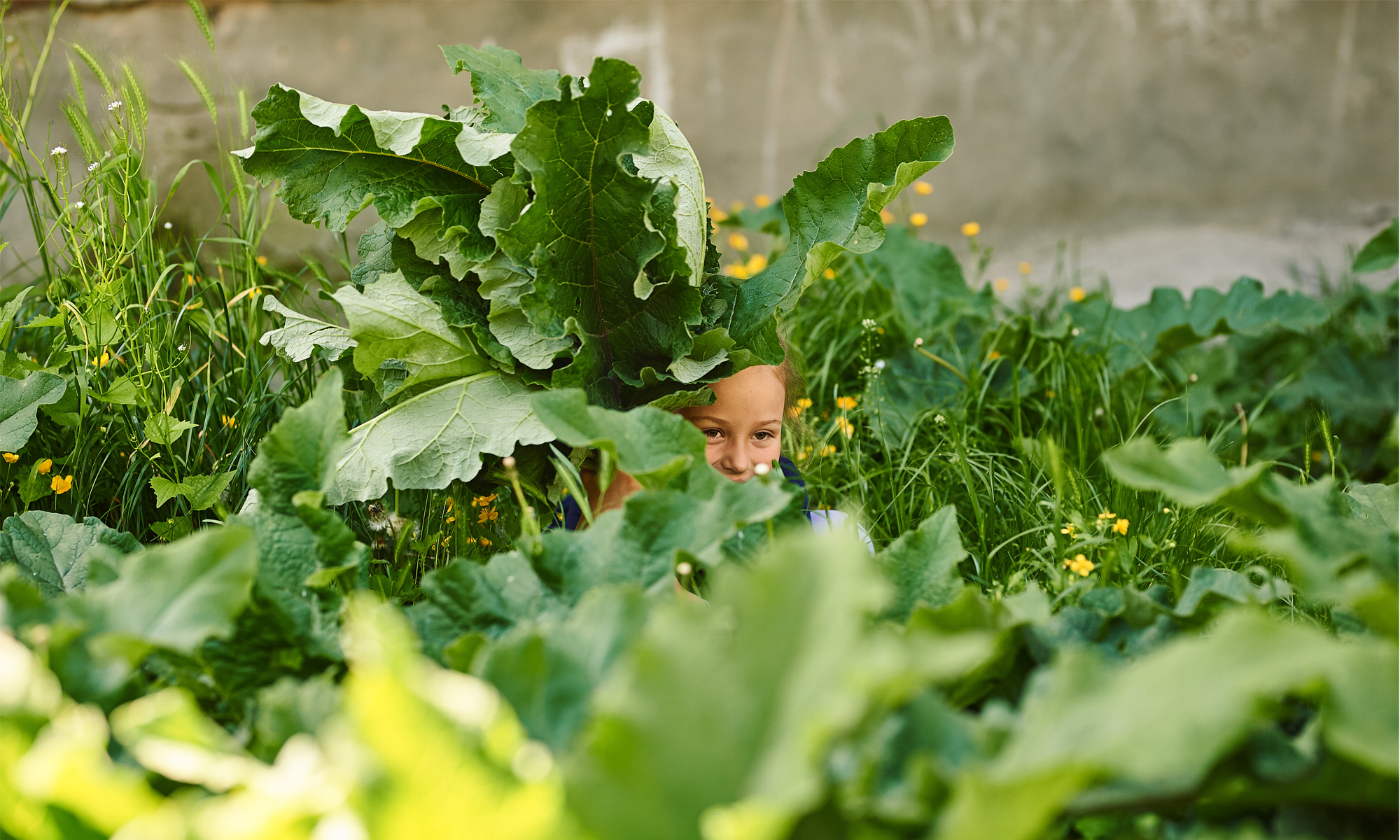 Social care reform: Stopping profit extraction in services