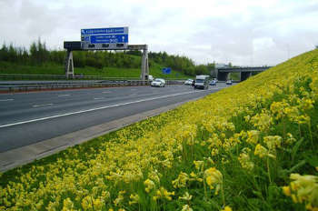 Report seeks 'greener roads at the heart of RIS2'