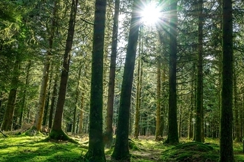 The climate transition is local