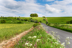 Wiltshire puts market on notice for £300m contract