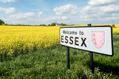 Essex plans to bring more maintenance oversight in-house