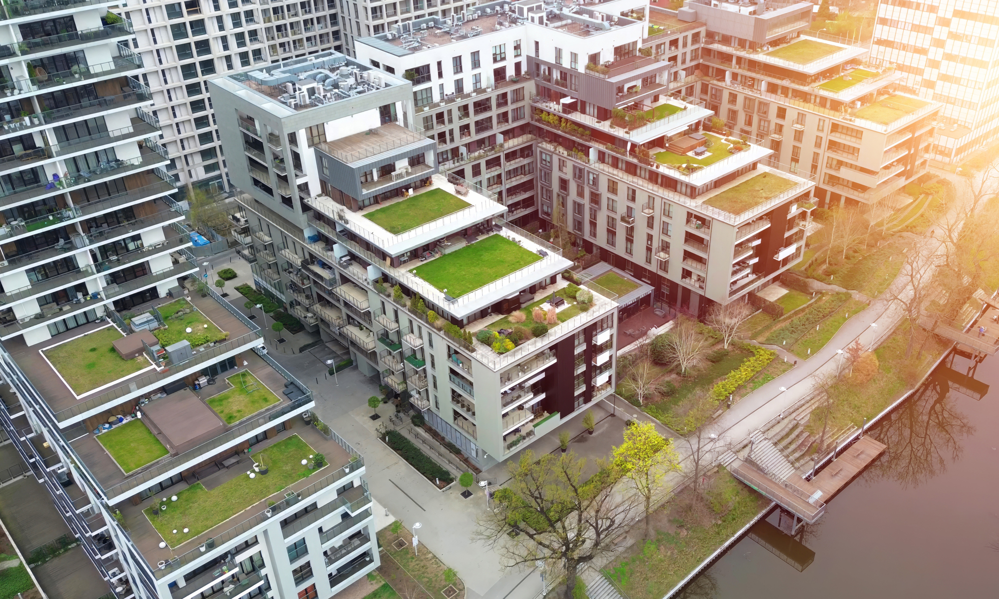 Regeneration: Liberating nature-based infrastructure