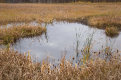 Clean water 'essential for nature'
