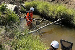 How did the fish cross the M25? 